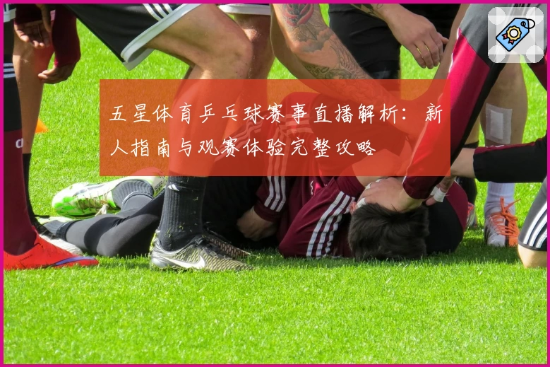 五星体育乒乓球赛事直播解析：新人指南与观赛体验完整攻略