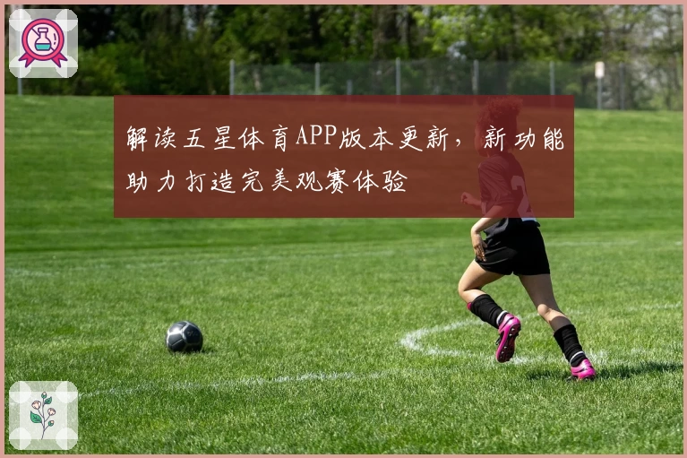 解读五星体育APP版本更新，新功能助力打造完美观赛体验