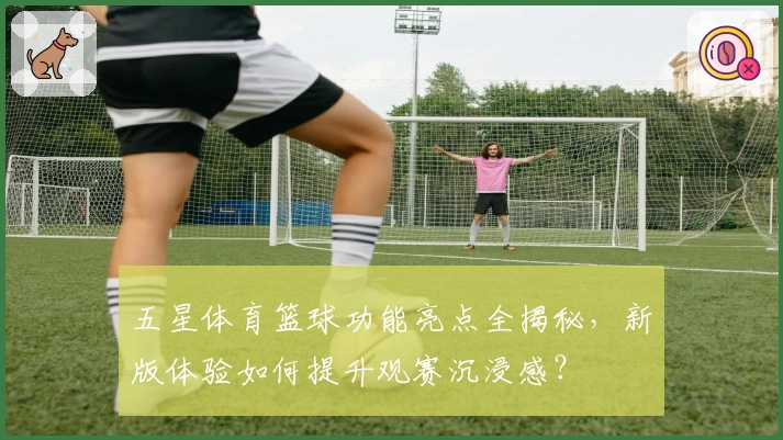 五星体育篮球功能亮点全揭秘，新版体验如何提升观赛沉浸感？