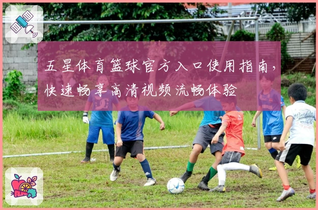 五星体育篮球官方入口使用指南,快速畅享高清视频流畅体验
