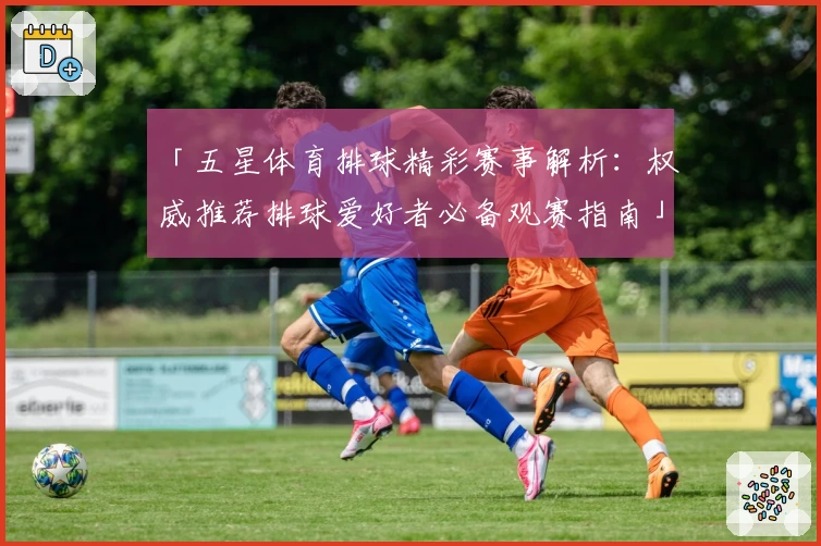 「五星体育排球精彩赛事解析:权威推荐排球爱好者必备观赛指南」
